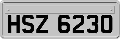 HSZ6230