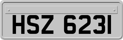 HSZ6231