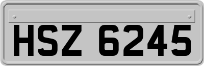 HSZ6245