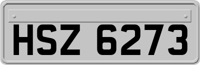 HSZ6273