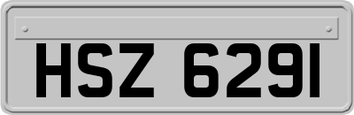 HSZ6291