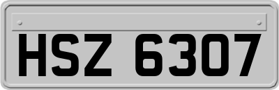 HSZ6307