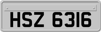 HSZ6316