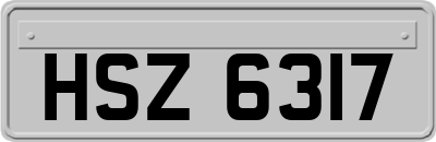 HSZ6317