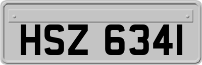 HSZ6341
