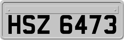 HSZ6473