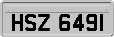 HSZ6491
