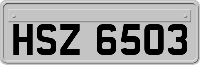 HSZ6503