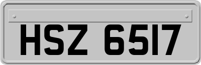 HSZ6517