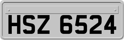 HSZ6524