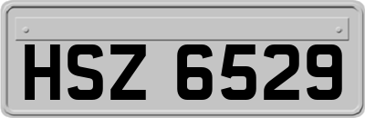 HSZ6529