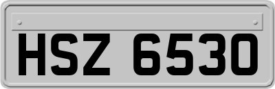 HSZ6530