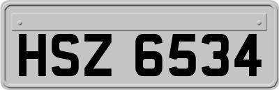 HSZ6534