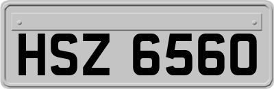 HSZ6560
