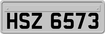 HSZ6573