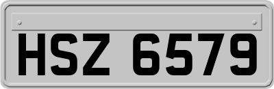 HSZ6579
