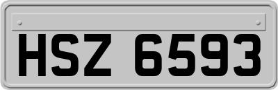 HSZ6593