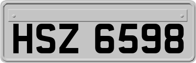 HSZ6598