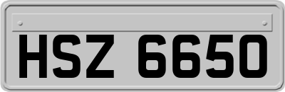 HSZ6650