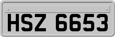 HSZ6653