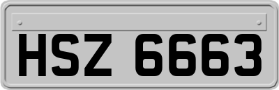 HSZ6663