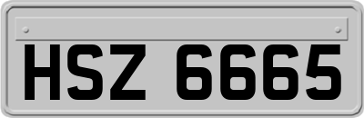 HSZ6665