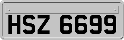 HSZ6699