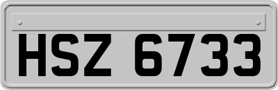 HSZ6733