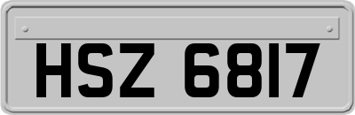 HSZ6817