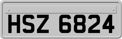 HSZ6824