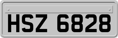 HSZ6828