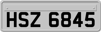 HSZ6845
