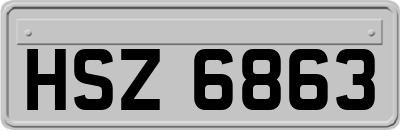 HSZ6863