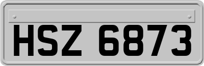 HSZ6873