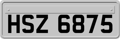 HSZ6875