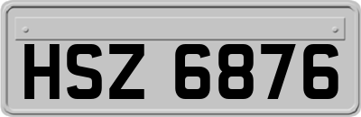 HSZ6876