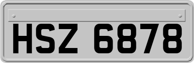 HSZ6878