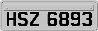 HSZ6893