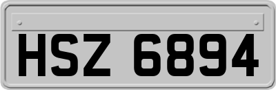 HSZ6894