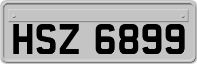 HSZ6899