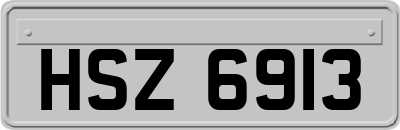 HSZ6913