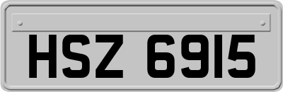 HSZ6915