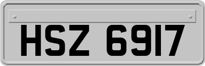 HSZ6917