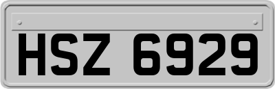 HSZ6929
