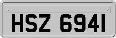 HSZ6941