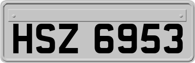 HSZ6953