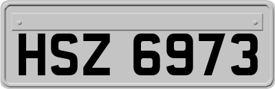 HSZ6973