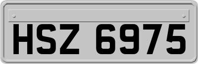 HSZ6975