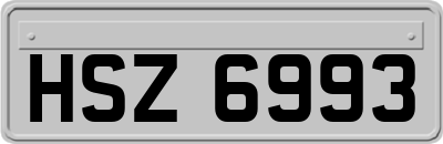 HSZ6993