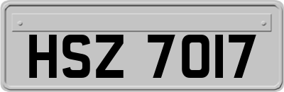 HSZ7017